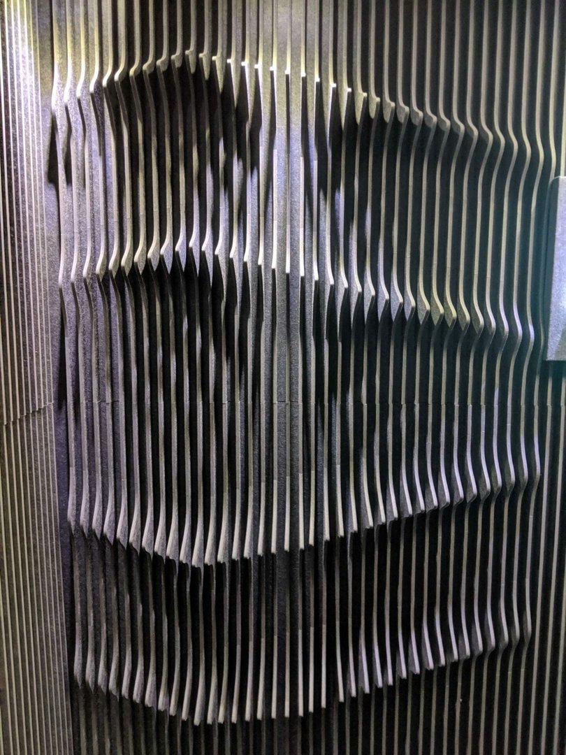 למלה אקוסטית ALPHA FINS - 3