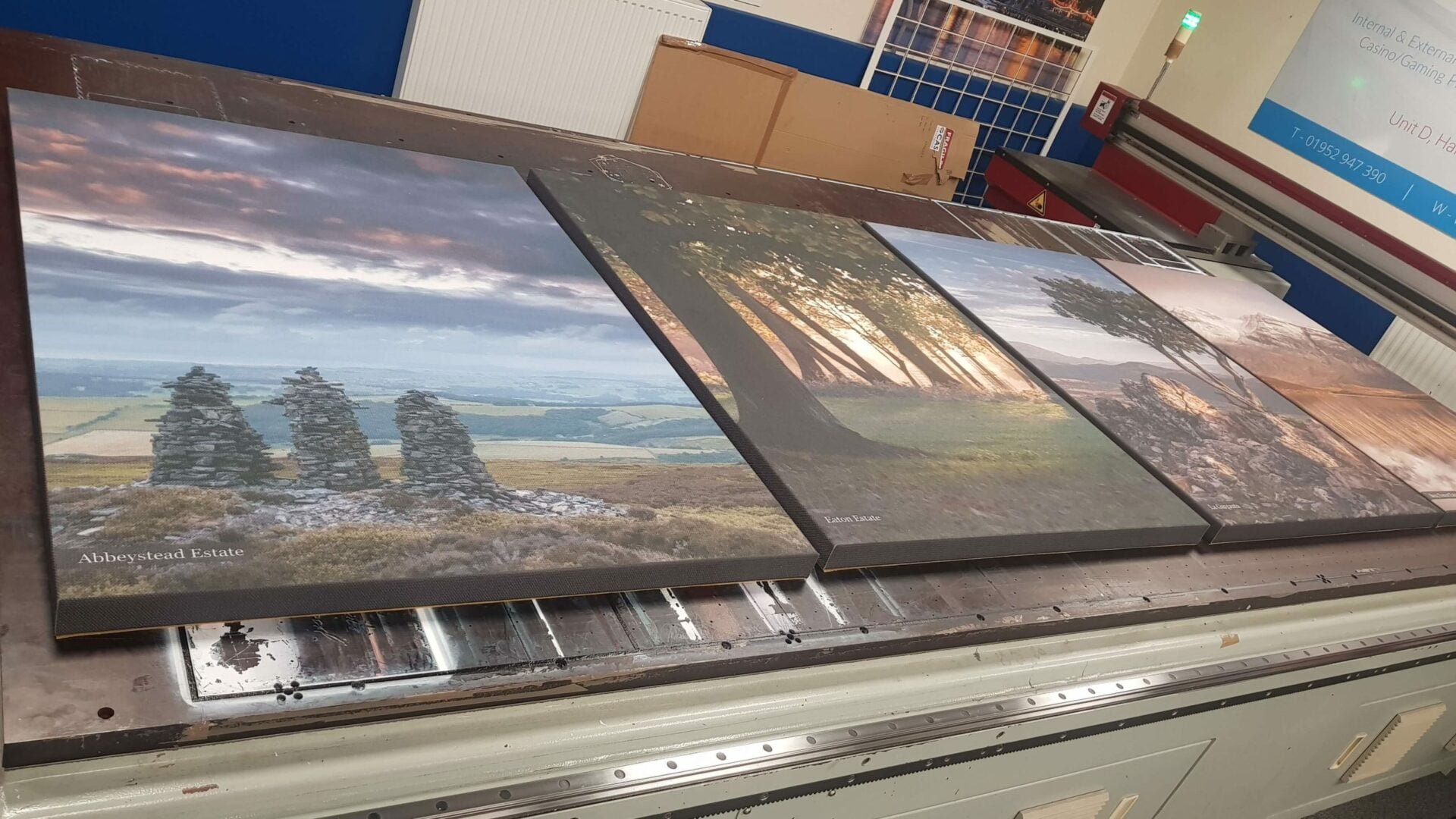 אריחים מודפסים ALPHA PRINT - 6