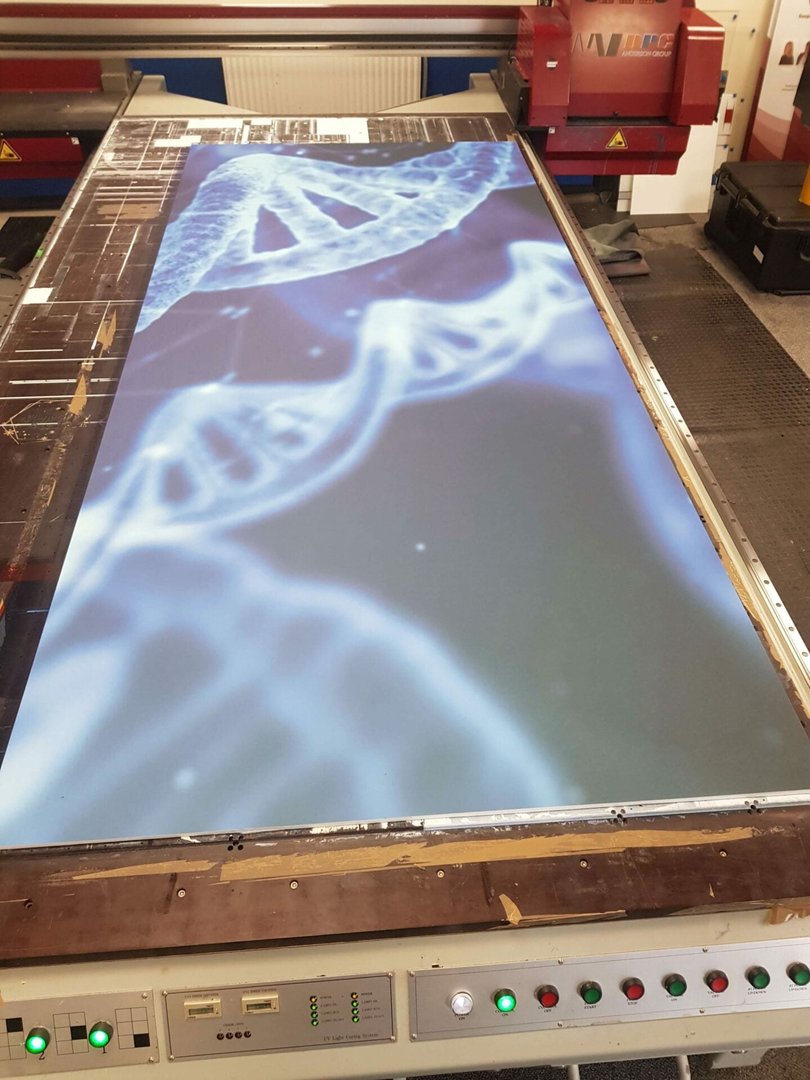 אריחים מודפסים ALPHA PRINT - 9