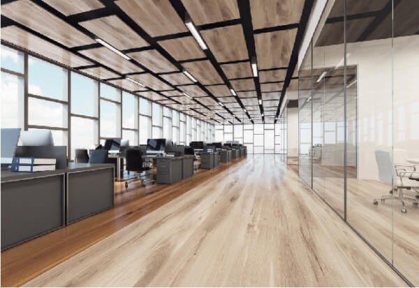 תקרות מרחפות ALPHA RAFT - 3